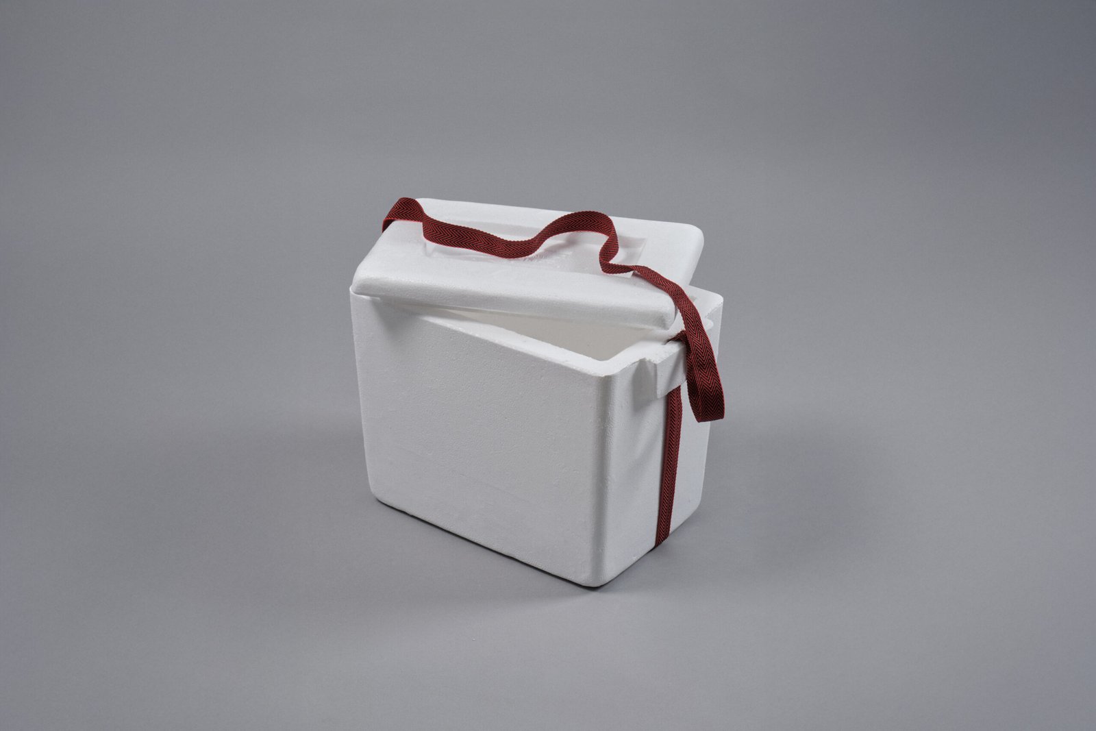 Moldex Termonevera 15L B Scaled