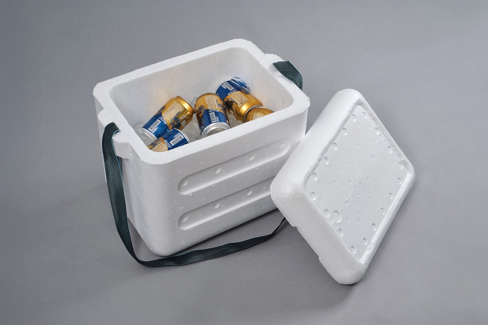 Moldex Termonevera 20L C Scaled