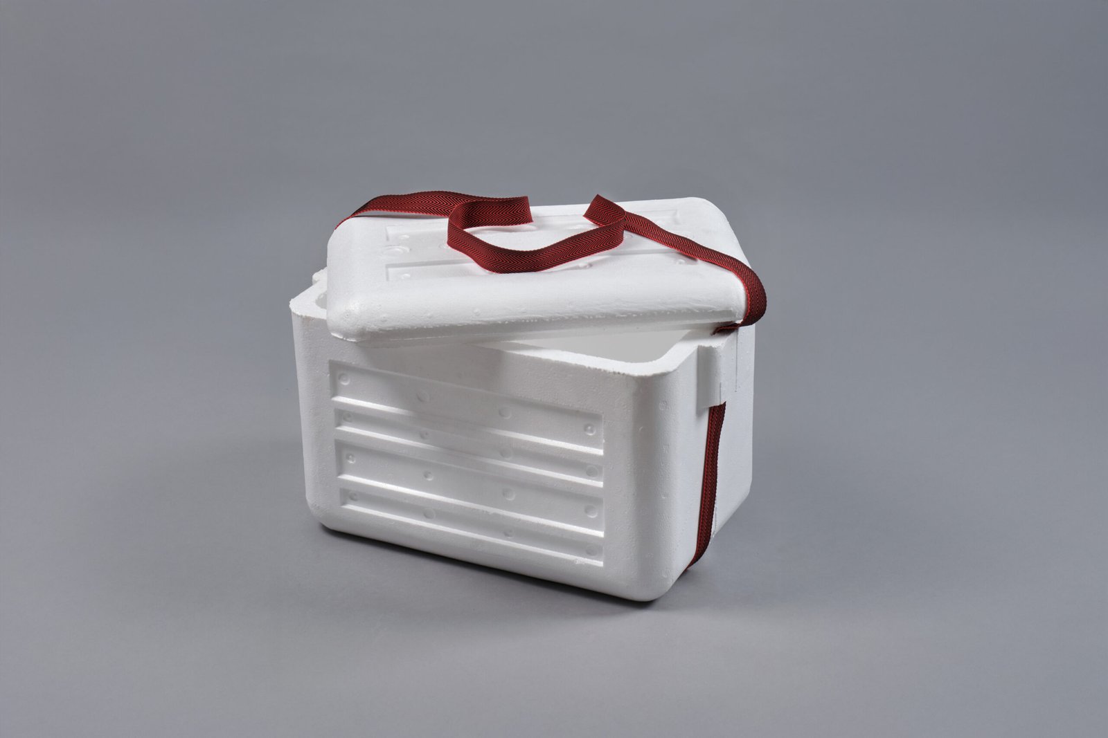 Moldex Termonevera 30L B Scaled